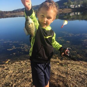 Meet your Posher, Tyler